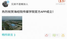 新闻爆料小飞机视频下载,新闻爆料背后的真相